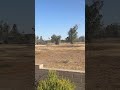 Another Wind Driven Dust Migration at Shalimar Golf Course…. Sunday, May 17, 2026 at 5:20 PM.