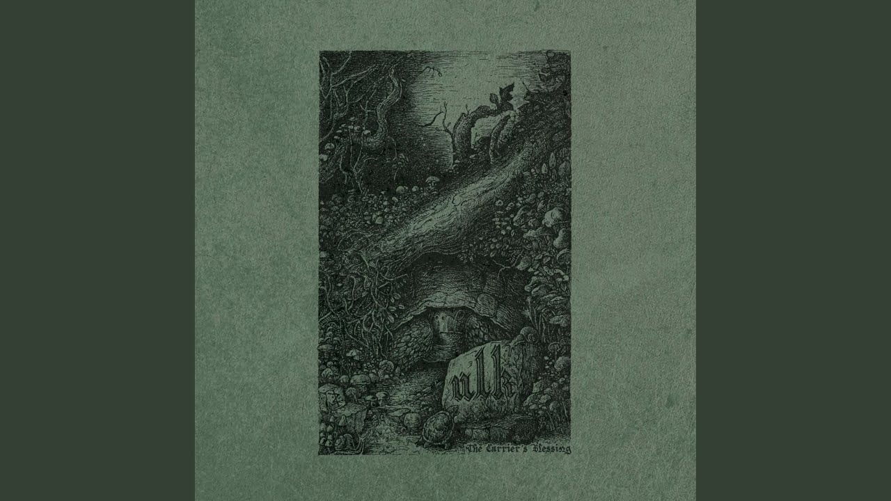 Light, Through Cracks