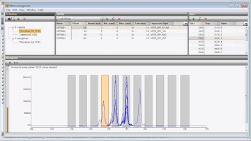 Redesigned in BioNumerics 7: Multi-locus VNTR analysis (MLVA)