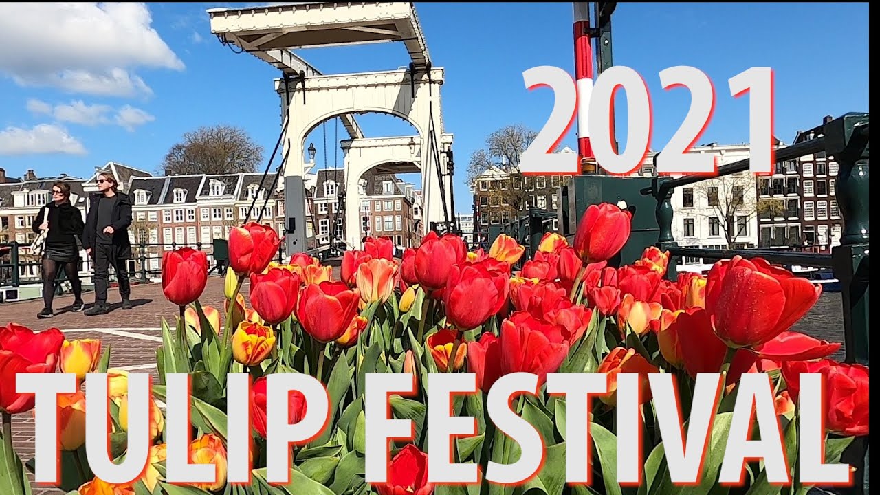 tulip-festival-amsterdam-2021-youtube