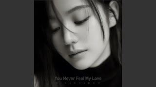 Never Meant To Lose You