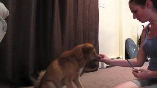 Kimma - Hold Session 4