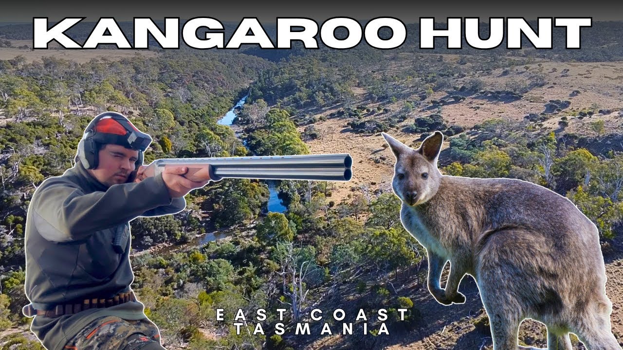 Kangaroo Hunting on Tasmania's East Coast