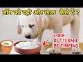 Can Dogs Eat Curd Buttermilk? / Dog ke liye Dahi or chass kaise de