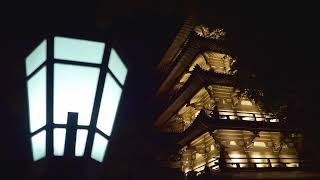 Epcots Relaxing Japanese Water Garden | Enhanced Audio for Headphones