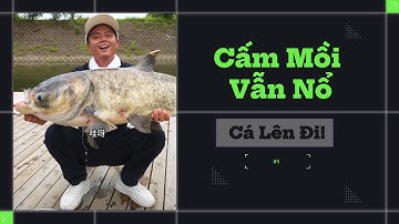 Ông Chủ Cấm Dùng Mồi – Ai Ngờ Tôi Kéo Liên Tục Cá Khủng Khiến Cả Hồ Đỏ Rực | Cá Lên Đi!