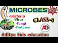 Microbes  class 4