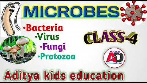 Microbes || Class 4