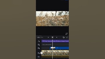 Color grading Transformation Effect in VN. #vn #shorts #vnvideoeditor