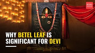 Beyond Tradition: Unveiling the Science Behind Betel Leaf \& Nut with Sadhguru