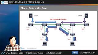 Multicast Distribution Tree (MDT) - Source Tree (SPT) and Shared Tree (ST)