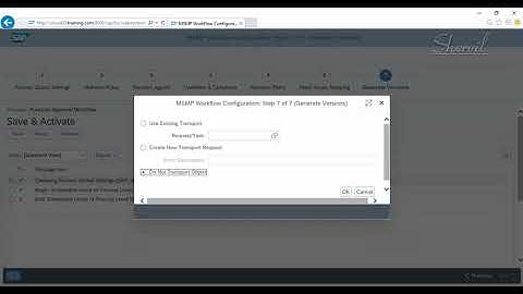 32 - SAP GRC - ARA - CREATING A FUNCTION WITH APPROVAL - SECOND VIDEO