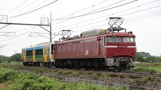 【配給輸送】 EF81-141+キハE130 東大宮~蓮田通過