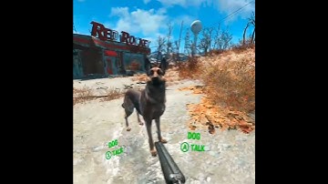 Dogmeat cute in VR #fallout4