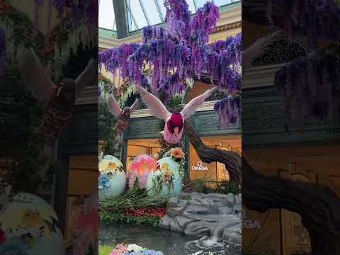 Bellagio Gardens are always so beautiful #bellagioconservatory #bellagio #bellagiolasvegas