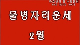 타로 2월 물병자리 타로카드 타로방송 타로상담 타로점 부산타로 부산대타로 전화상담 방문상담 해외보이스톡상담