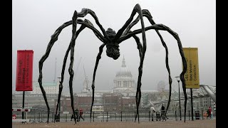 Spiders could eat every human on earth in just 1 year