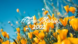 🇬🇧 Anne-Marie - 2002