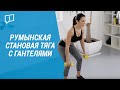 Упражнения с гантелями для укрепления мышц Domyos (Румынская становая тяга с гантелями) | Декатлон