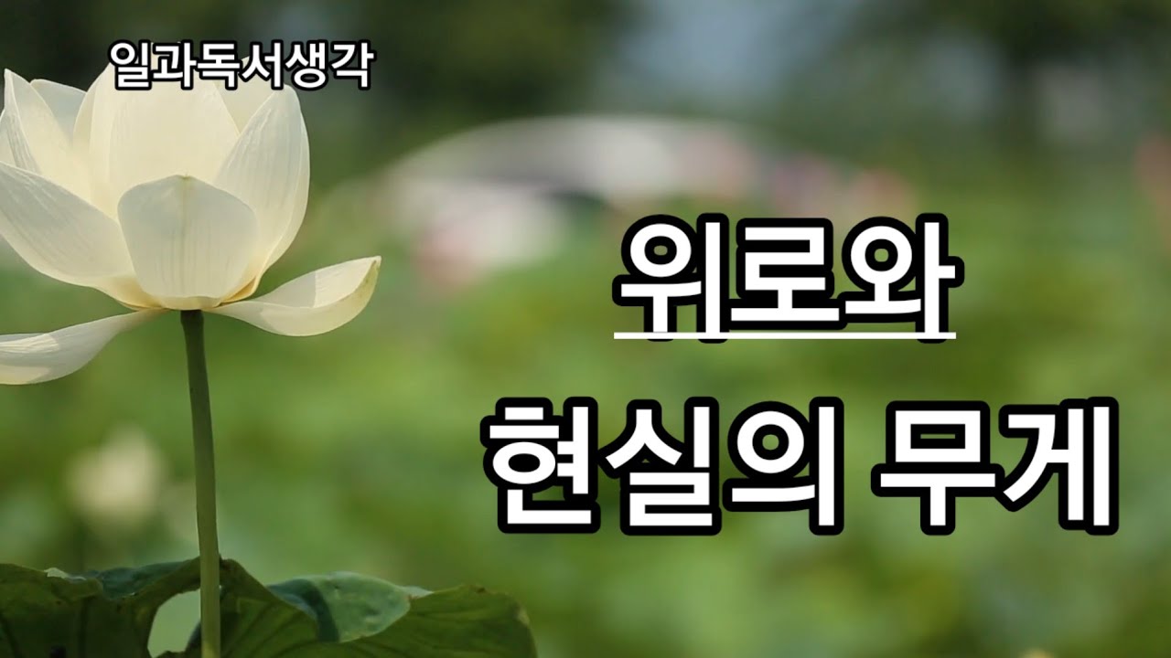 위로에 머무르지 않는 사람