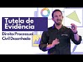 Tutela de Evidência | Processo Civil Desenhado Mp3 Song