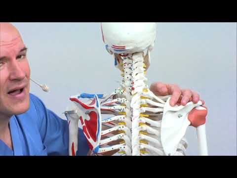 Video: ¿Son constantes las cefaleas cervicogénicas?