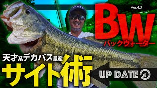 Vish UP DATE [アップデート] vol.4　カナモ×バックウォーター攻略「天才系デカバス量産サイト術」