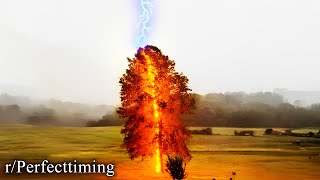 r/PerfectTiming | the burning tree hath spoken