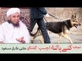 Having Dogs Interesting Talk By Mufti Tariq Masood کتے پالنا دلچسپ گفتگو 
