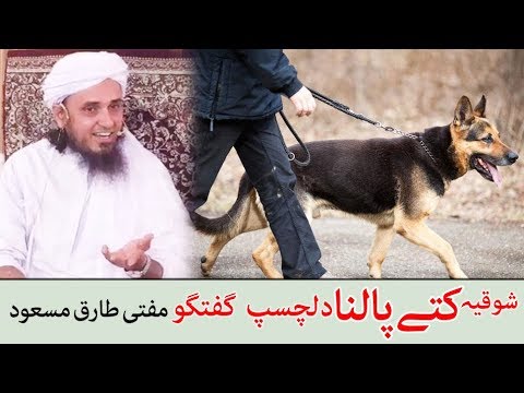 Having Dogs Interesting Talk by Mufti Tariq Masood - کتے پالنا ، دلچسپ گفتگو