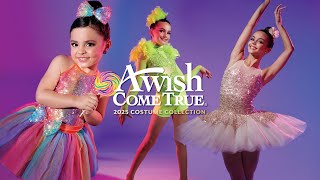 2025 Dance Costume Collection