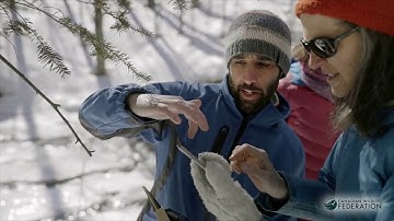 How to Upload Observation on iNaturalist app