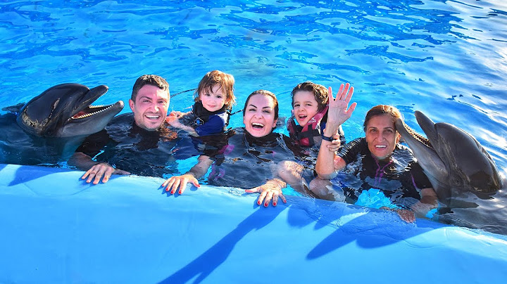 فاجأتهم برحلة الى مدينة الدلافين 🐬!!