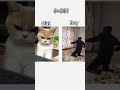Дропаю видео для вас