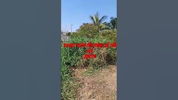 Đát Thổ Cư Tiến Lợi Gần Vòng Xoay Suối Cát