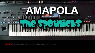 Video thumbnail of "Amapola - The Spotnicks, Cover, mit titelbezogenem Style auf Yamaha Genos"