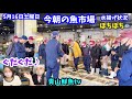 【ぼちぼち⁉︎】今朝の魚市場5月16日土曜日の水揚げ状況