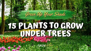 Green Up Your Shade: 15 Plants to Grow Under Trees 🌳🌷👍 // Garden Tips