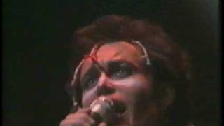 Watch Adam  The Ants Mowhok video