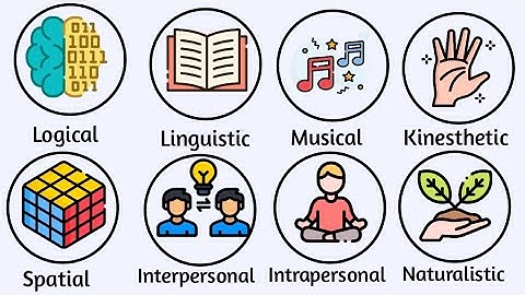 Every Type of Intelligence Explained In 3 Minutes 