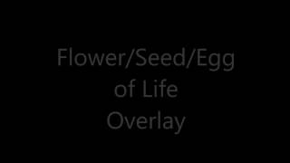 E8 Sacred Geometry