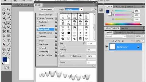 Photoshop CS5 Tutorial Setting Dual Brushes Adobe Training Lesson 6.7