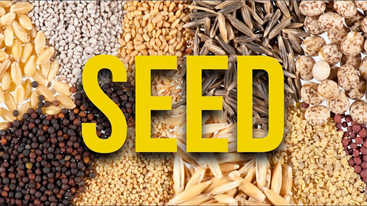 How To Sensi Seeds In A Slow Economy