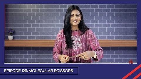 Learn with PGC | Smart Learning EP 126 | Molecular Scissors