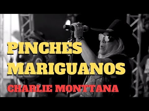 Charlie Monttana - Pinches Mariguanos (Video Oficial)