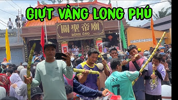TOÀN CẢNH GIỰT VÀNG LONG PHÚ 2025