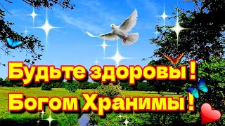 🌞🙏💓Доброго утра благословенного дня!💓Красивое музыкальное пожелание доброго утра💓душевные пожелания