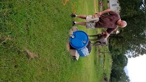 Molly - Steady to Flush with Barrel & Owner 07 22 20