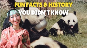 The Untold Panda Story: Rare Species, Gifting Pandas, Famine and More