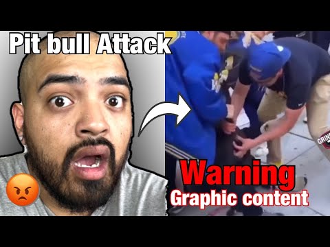 How to BREAK UP a Pit bull Attack (Reaction)